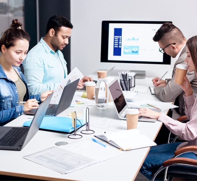 Custom Software Development